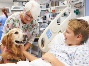 Dog by a bedside where a child is laying and smiling
